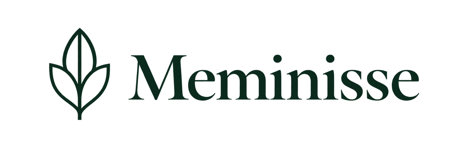 Meminisse